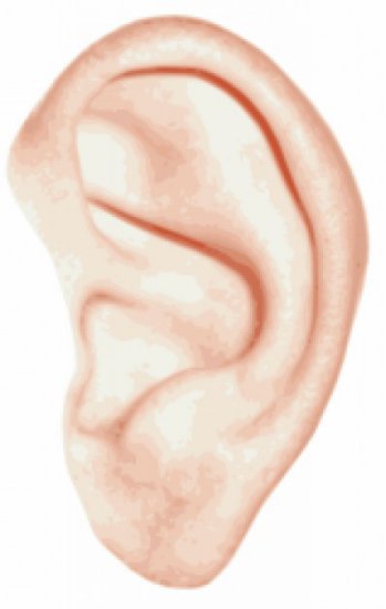 samogloski - ucho.jpg