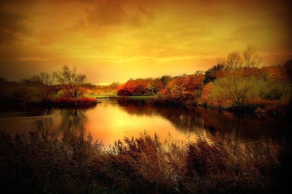 Klimaty - Golden_Pond_by_photodream1.jpg