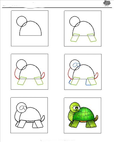 jak to narysować - żółw.aspx.jpg