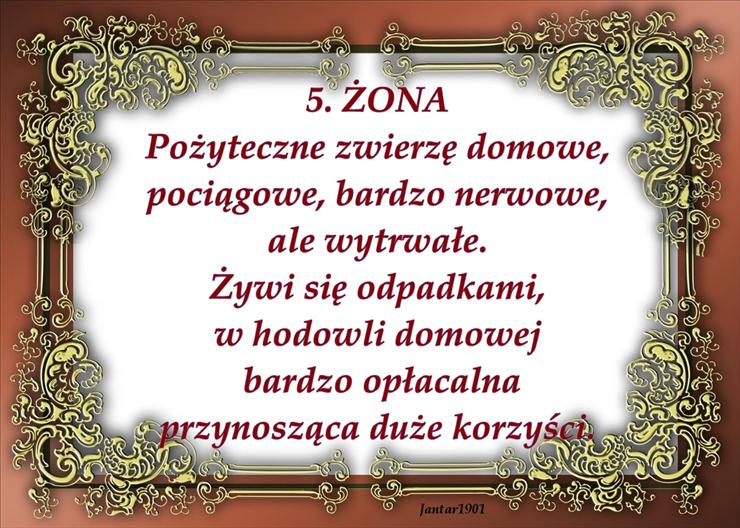 botanika na wesoło - Zona.jpg