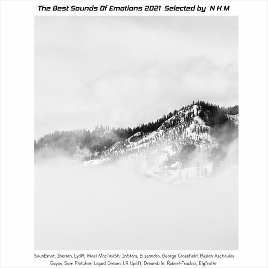VA-The_Best_Sounds_Of_Emotions_20... - 00-va-the_best_sounds_of_emotions_2021_selected_by_n_h_m-cover-2022_int.jpg