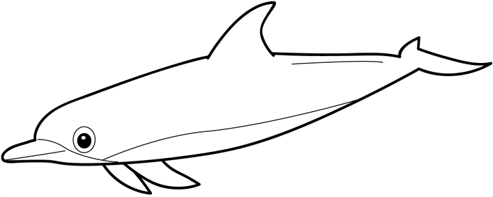Delfiny i wieloryby - delfiny i wieloryby - kolorowanka 13.gif
