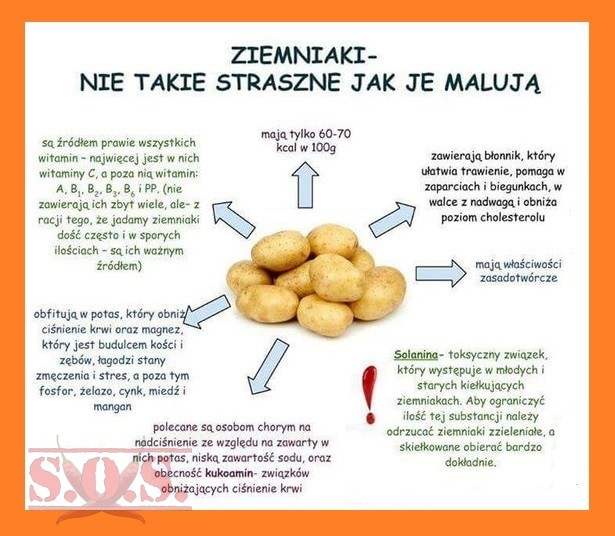 Kuchenne Ciekawostki - ziemniaki-1.jpg